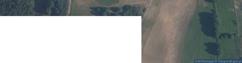 Zdjęcie satelitarne Będźmierowice ul.