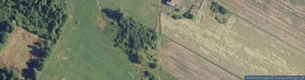 Zdjęcie satelitarne Białaszewo-Kolonia ul.
