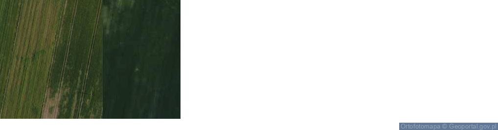 Zdjęcie satelitarne Biały Ług ul.