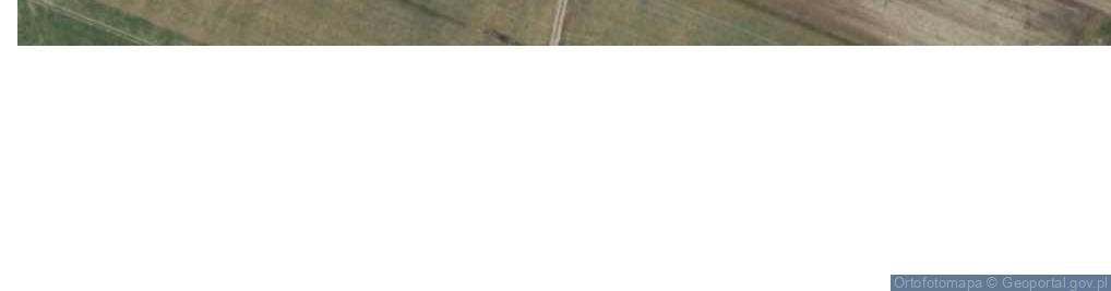 Zdjęcie satelitarne Białyszewo-Towarzystwo ul.