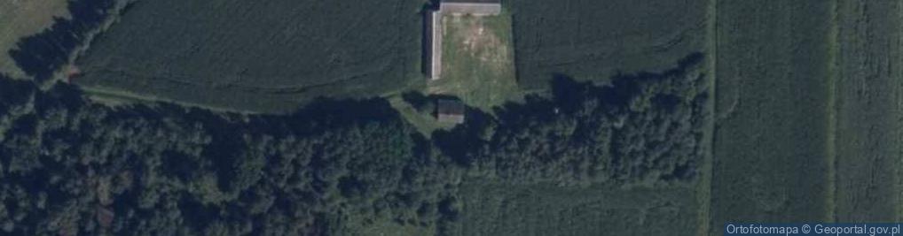 Zdjęcie satelitarne Bielawy Gołuskie ul.