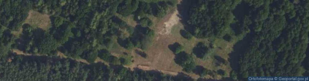 Zdjęcie satelitarne Bieliny ul.