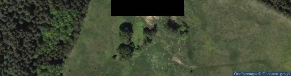 Zdjęcie satelitarne Biesówko ul.
