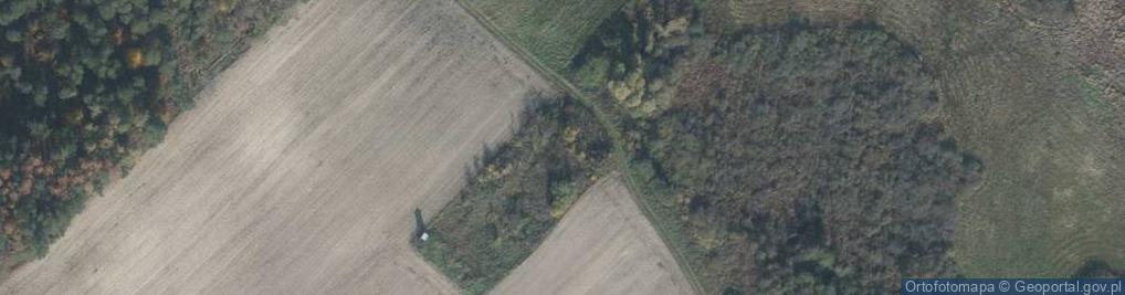 Zdjęcie satelitarne Błocie ul.