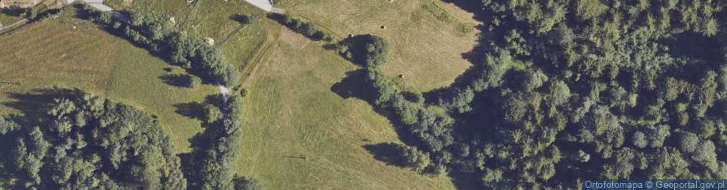 Zdjęcie satelitarne Blachnickiego Franciszka, ks. ul.