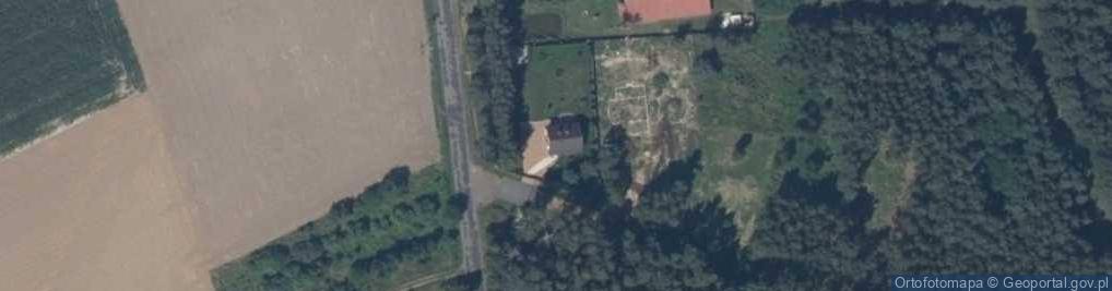 Zdjęcie satelitarne Borowika ul.