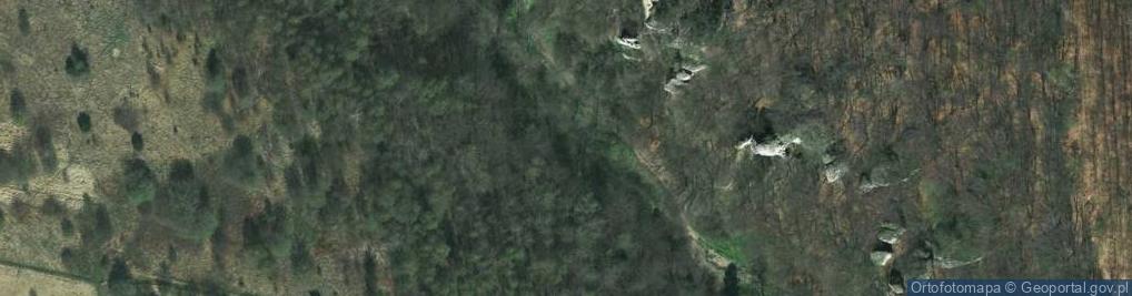Zdjęcie satelitarne Borowa ul.