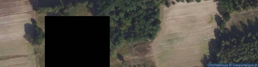 Zdjęcie satelitarne Bogdałów-Kolonia ul.