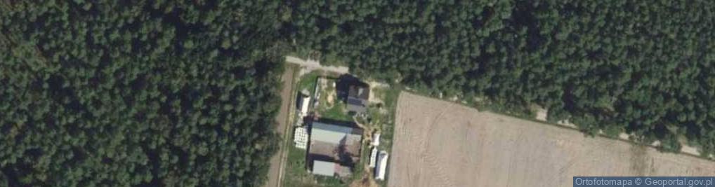 Zdjęcie satelitarne Bogufałów ul.