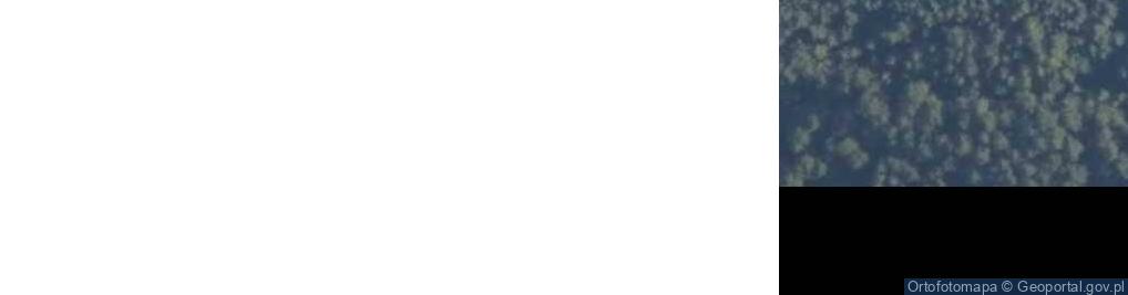 Zdjęcie satelitarne Bojany ul.