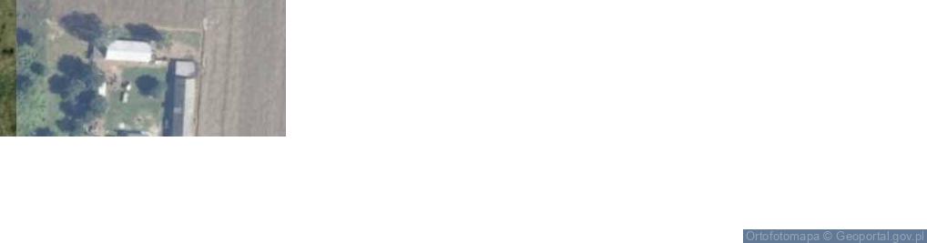 Zdjęcie satelitarne Borki Drużbińskie ul.