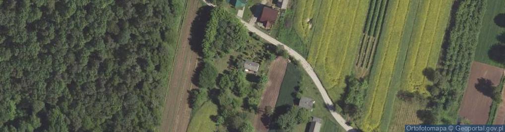 Zdjęcie satelitarne Borkowszczyzna ul.