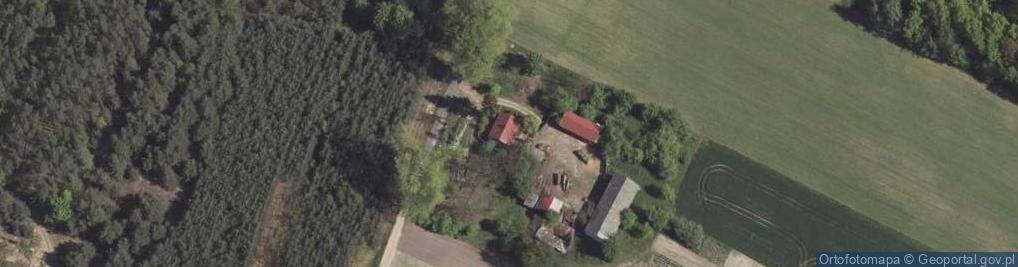 Zdjęcie satelitarne Borów-Kolonia ul.