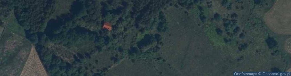 Zdjęcie satelitarne Borucza ul.