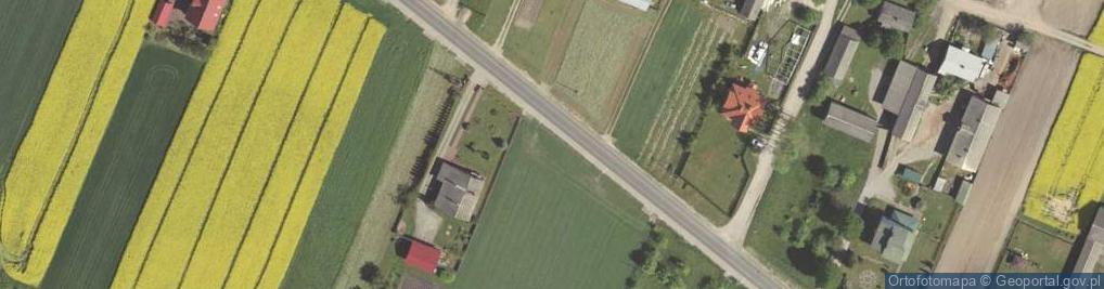 Zdjęcie satelitarne Borzechów-Kolonia ul.