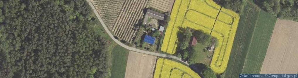 Zdjęcie satelitarne Borzechów ul.