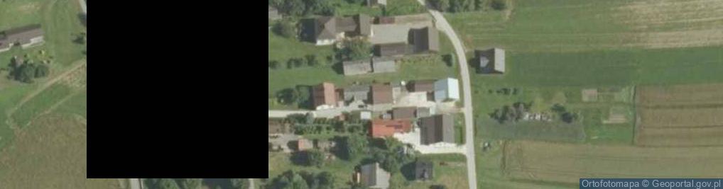 Zdjęcie satelitarne Borzęcin ul.