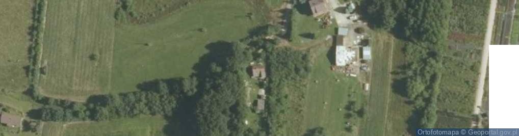 Zdjęcie satelitarne Borzęcin ul.