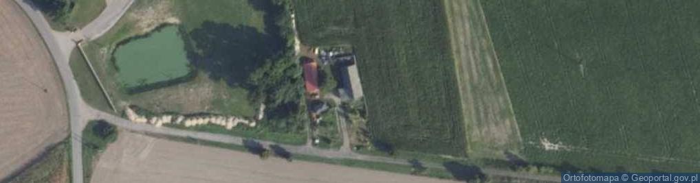 Zdjęcie satelitarne Borzejewo ul.