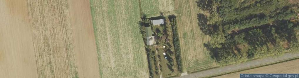Zdjęcie satelitarne Borzymie ul.