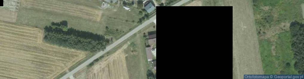 Zdjęcie satelitarne Borzymów ul.