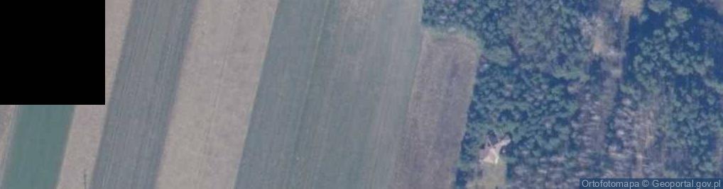 Zdjęcie satelitarne Bożenczyzna ul.
