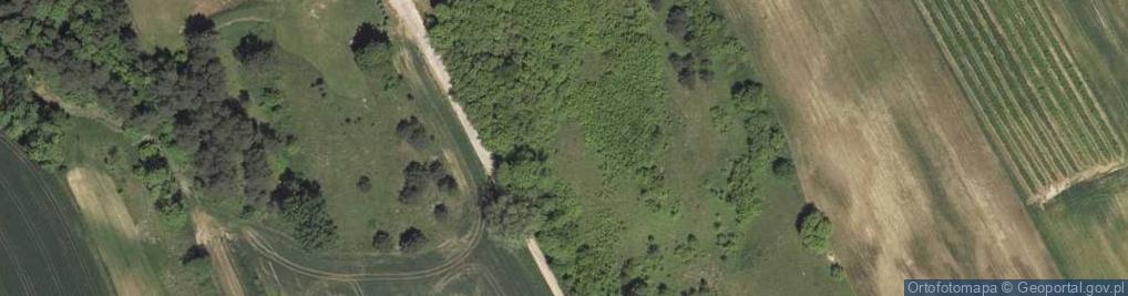 Zdjęcie satelitarne Bojarskiego ul.