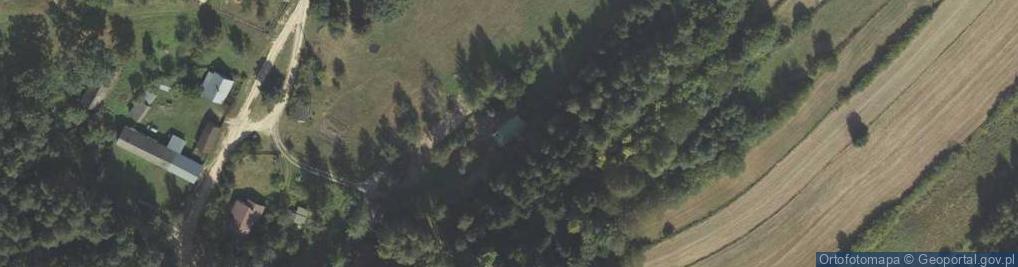 Zdjęcie satelitarne Borki ul.