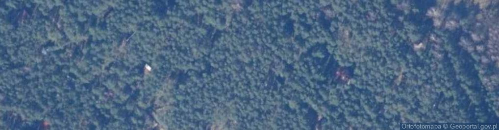 Zdjęcie satelitarne Borowików ul.