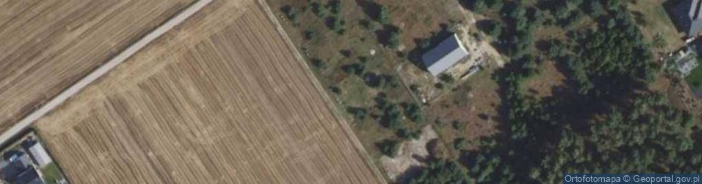 Zdjęcie satelitarne Borów Tucholskich ul.