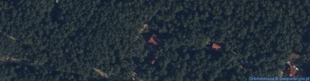 Zdjęcie satelitarne Borkowska ul.