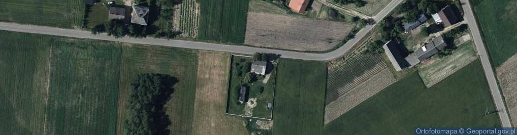 Zdjęcie satelitarne Borowina (Sarnów) ul.