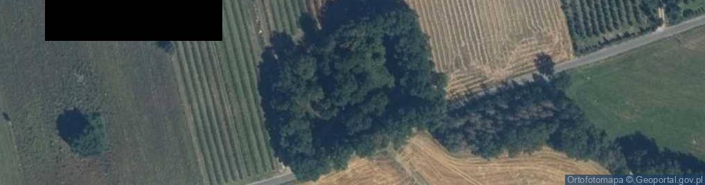 Zdjęcie satelitarne Bobrowska ul.