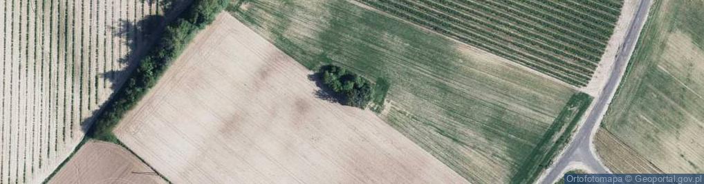 Zdjęcie satelitarne Bronice-Kolonia ul.