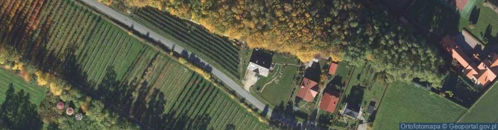 Zdjęcie satelitarne Brzezna ul.
