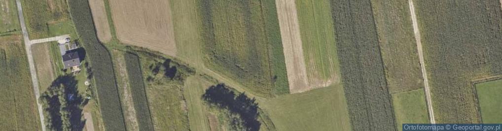 Zdjęcie satelitarne Brzozowa ul.