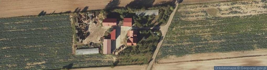 Zdjęcie satelitarne Brzyszewo ul.