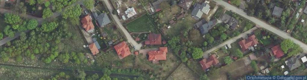 Zdjęcie satelitarne Brzuzka Aleksandra ul.