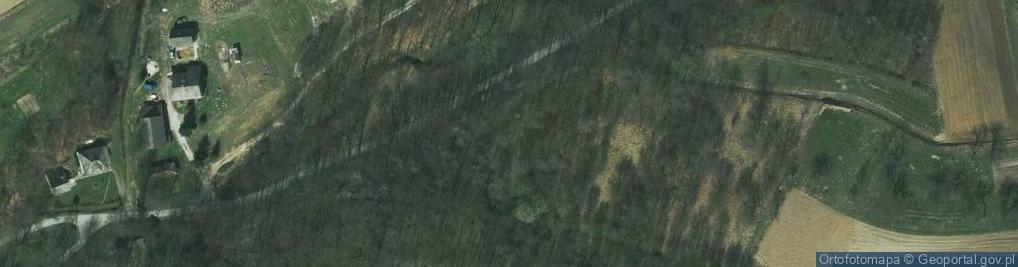 Zdjęcie satelitarne Brzezina ul.
