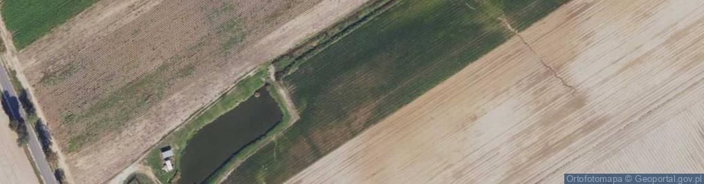 Zdjęcie satelitarne Brzozowa ul.