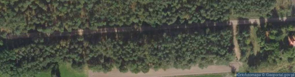 Zdjęcie satelitarne Bucharzewo ul.