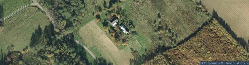 Zdjęcie satelitarne Buchcice ul.