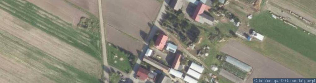 Zdjęcie satelitarne Bucz Nowy ul.