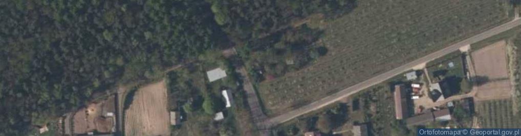 Zdjęcie satelitarne Budy Chojnackie ul.