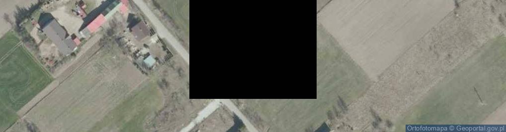 Zdjęcie satelitarne Budy Czarnockie ul.