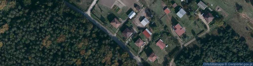 Zdjęcie satelitarne Budy Głogowskie ul.