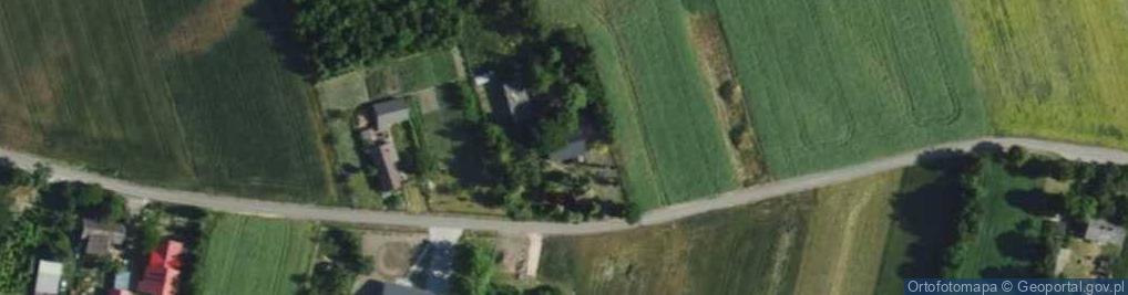 Zdjęcie satelitarne Budy Trzcińskie ul.