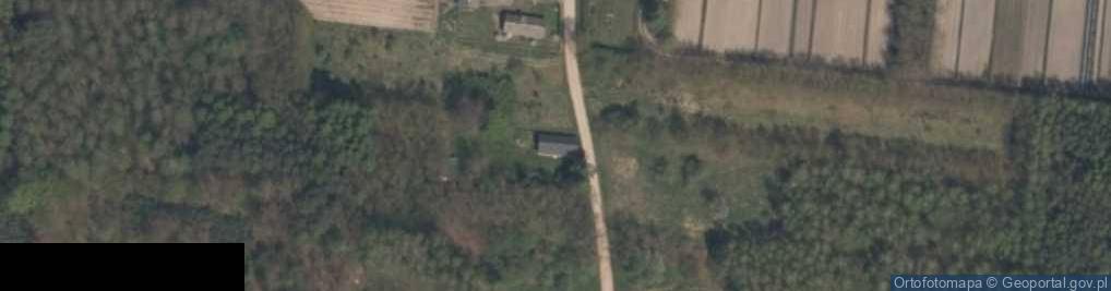 Zdjęcie satelitarne Budziczna ul.