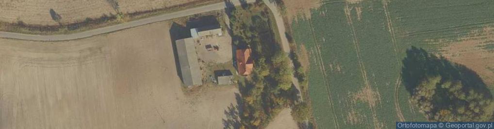 Zdjęcie satelitarne Buk Pomorski ul.