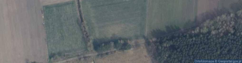 Zdjęcie satelitarne Burowo ul.